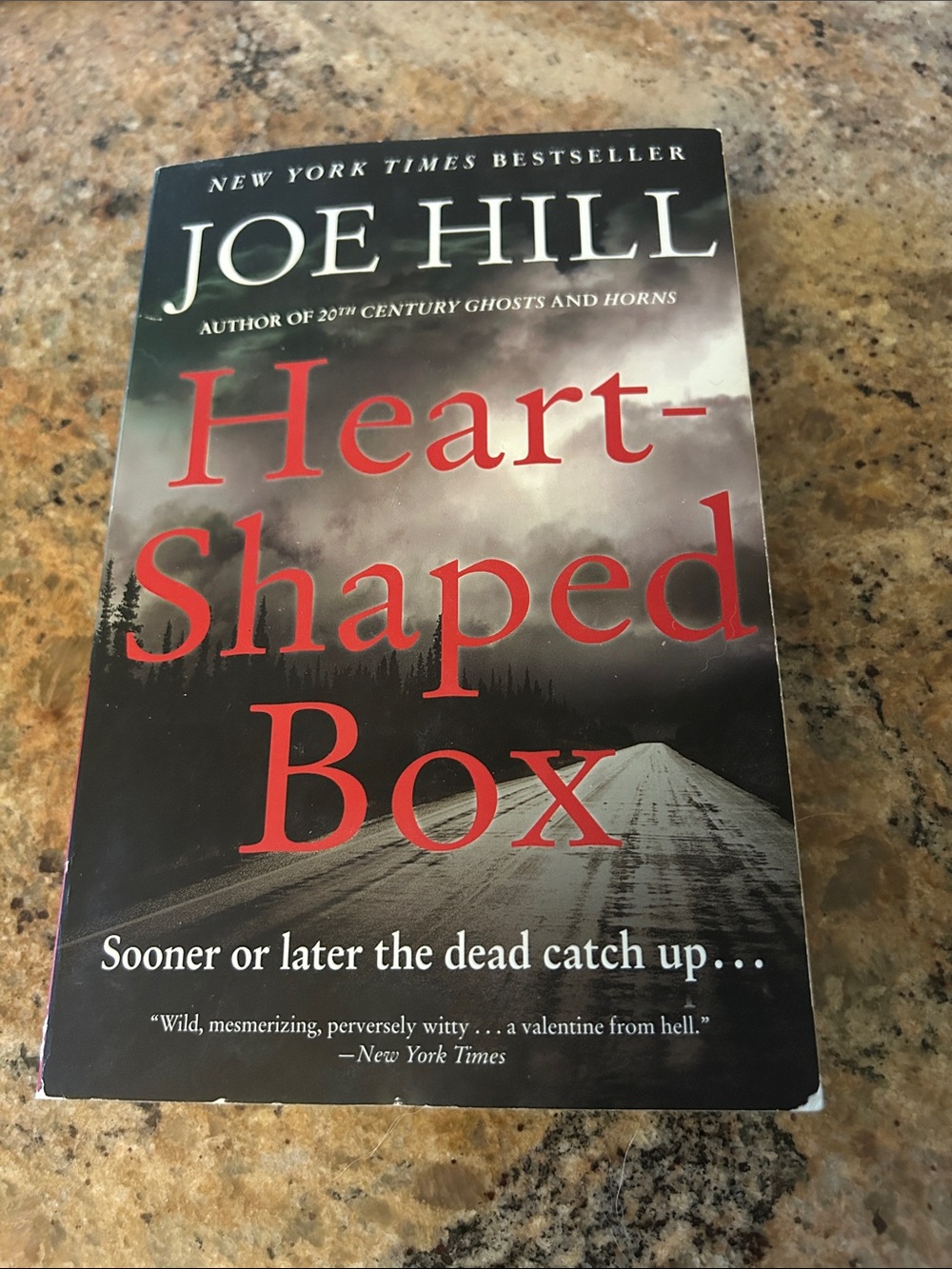 Joe Hill "Heart-Shaped Box" Paperback Novel - Red & Black Cover